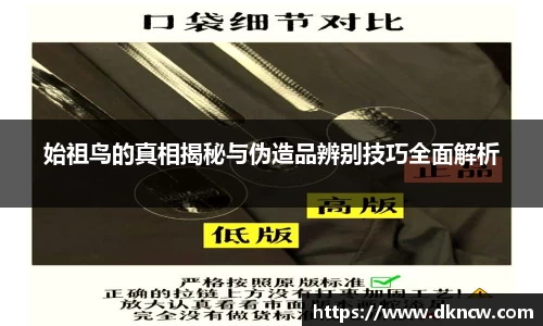 始祖鸟的真相揭秘与伪造品辨别技巧全面解析