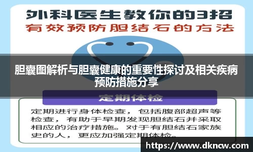 胆囊图解析与胆囊健康的重要性探讨及相关疾病预防措施分享