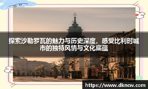 探索沙勒罗瓦的魅力与历史深度，感受比利时城市的独特风情与文化底蕴